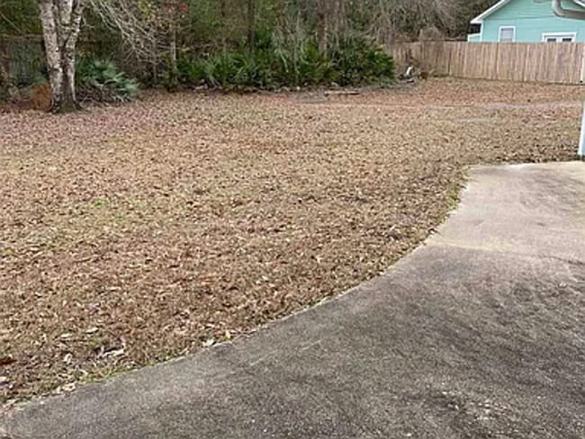 Building Photo - 3/2.5 bath home with large yard!