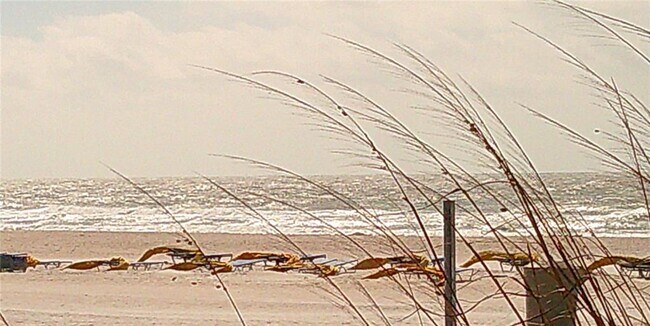 Building Photo - 3575 Gulf Blvd