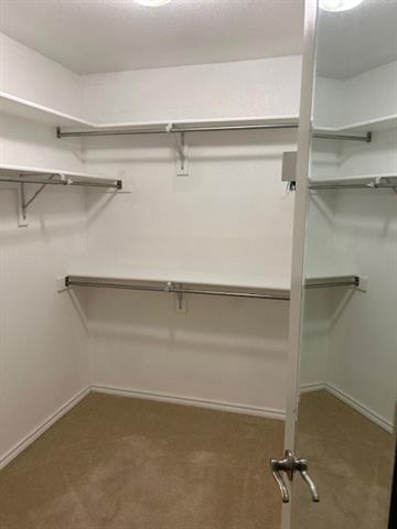 Building Photo - 28 Emerald Pond Dr