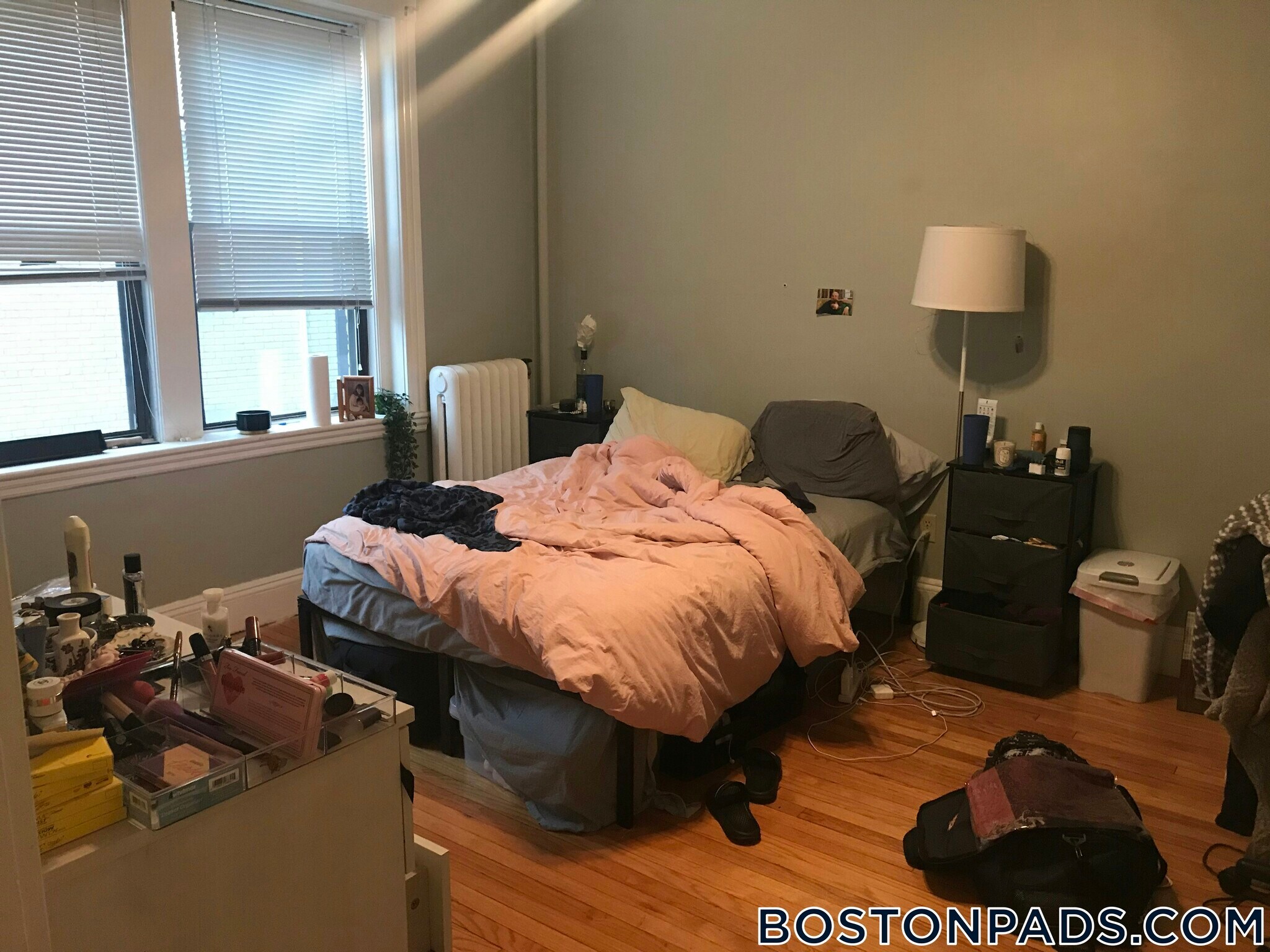 Building Photo - 370 Chestnut Hill Ave