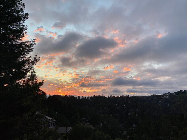 Building Photo - 6579 Exeter Dr