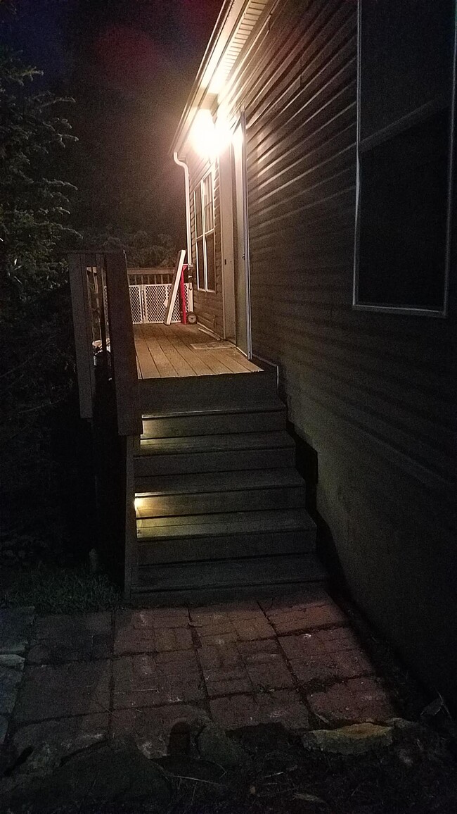 Pathway lighting to front door - 221 Long St