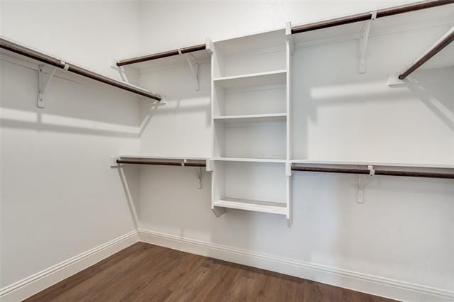 Building Photo - 10801 Brownwood Pl