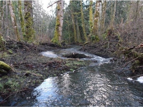 Building Photo - Country Living At Its Finest! Beautiful 3BD/2BA Home~Privacy, Storage, and Beautiful Scenery!