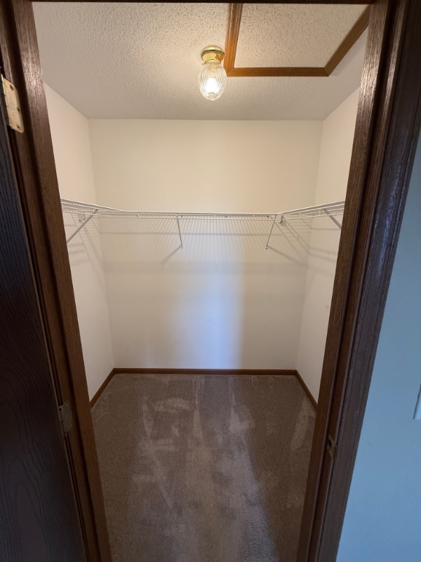 Building Photo - 801 Brittany Ct