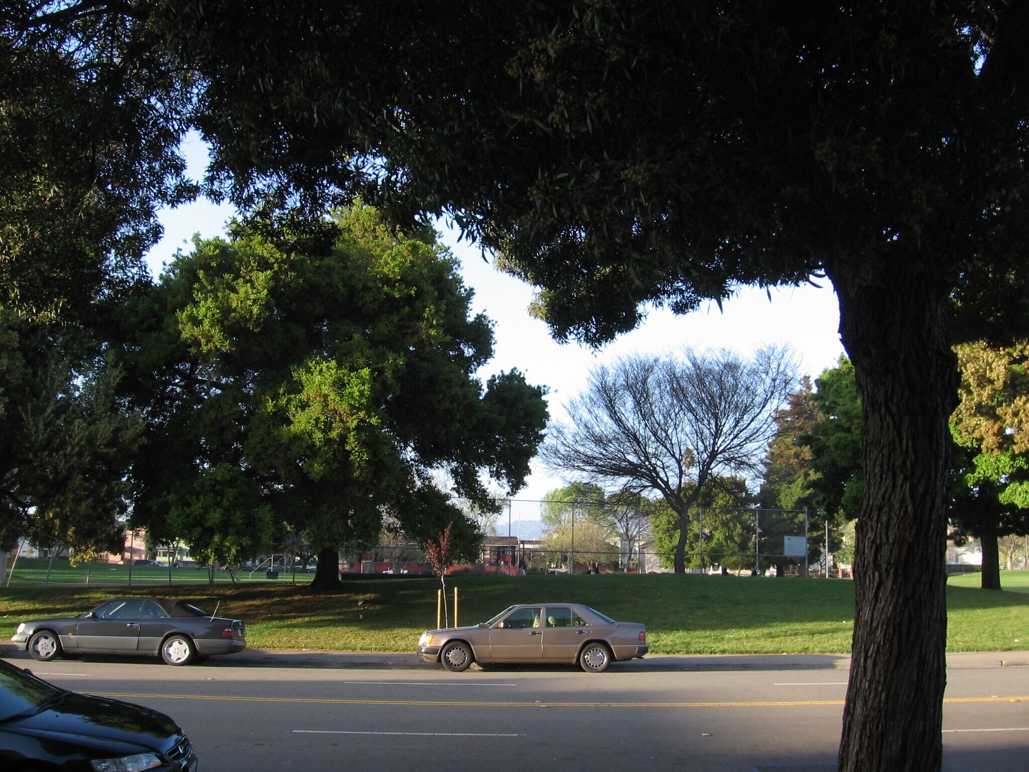 View of park from street - 1077 12th Street
