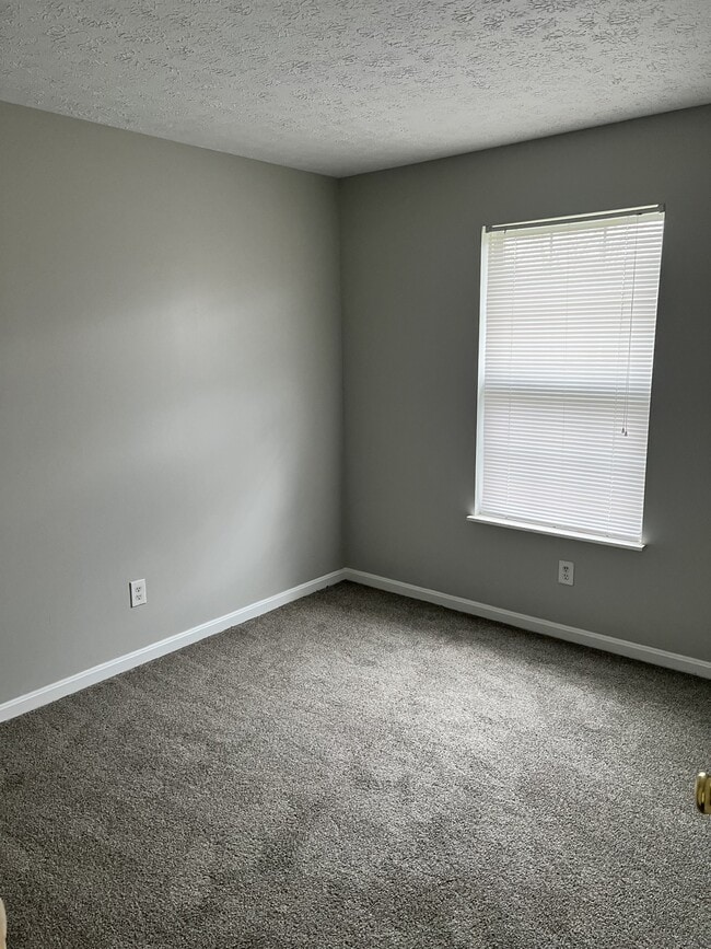 Building Photo - 4107 Blue Lick Ct