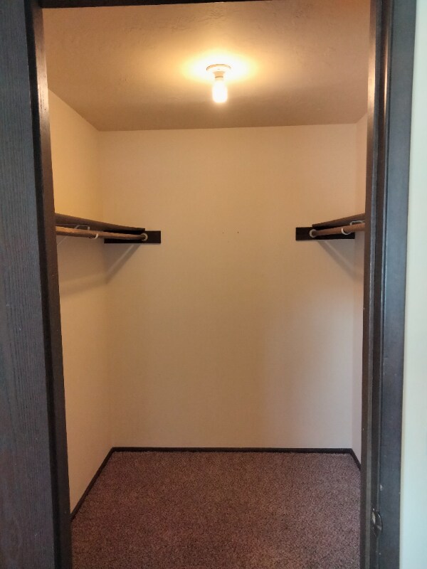 Building Photo - 797 Meadows Dr