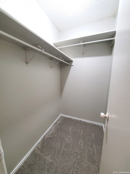 Building Photo - 8031 Cherry Glade