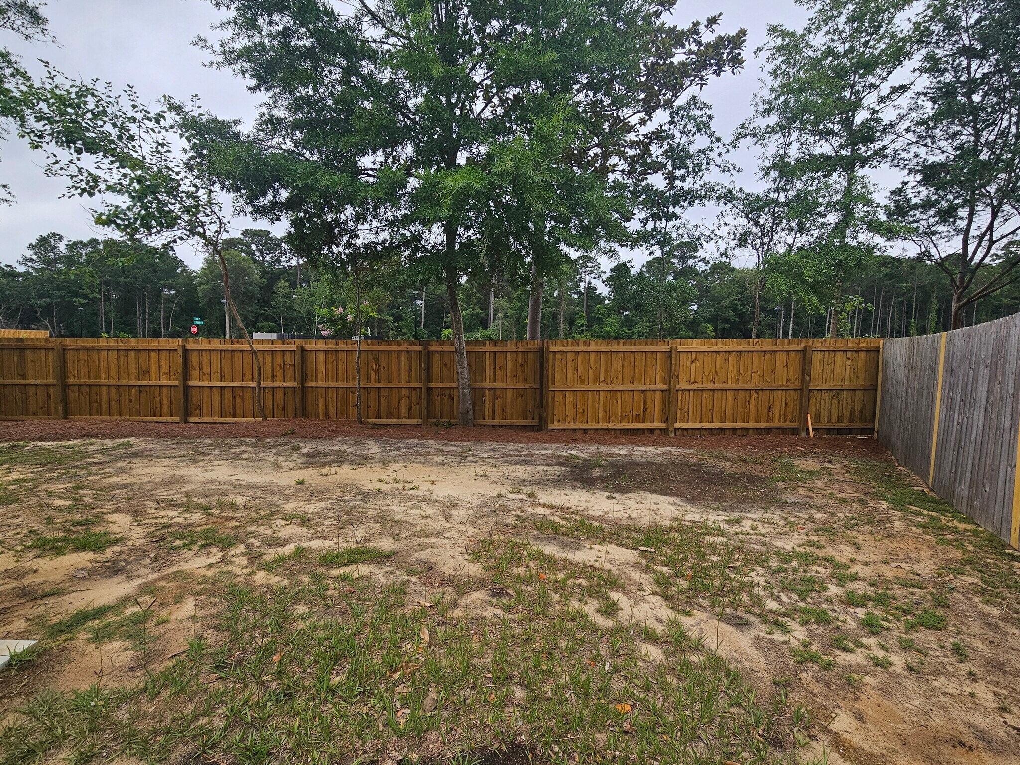 Building Photo - 834 Southern Charm Dr