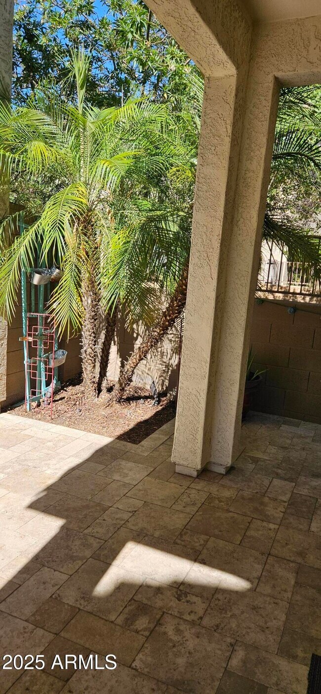 Building Photo - 4656 E Tierra Buena Ln