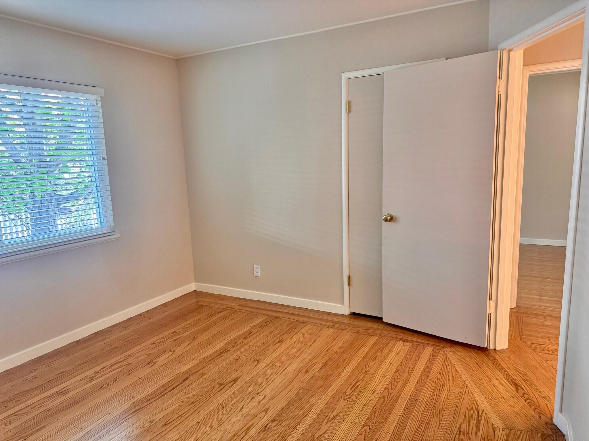 The secondary (northeast) bedroom enjoys dappled light and offers a peaceful view of the mature mapl - 2403 Mira Vista Dr