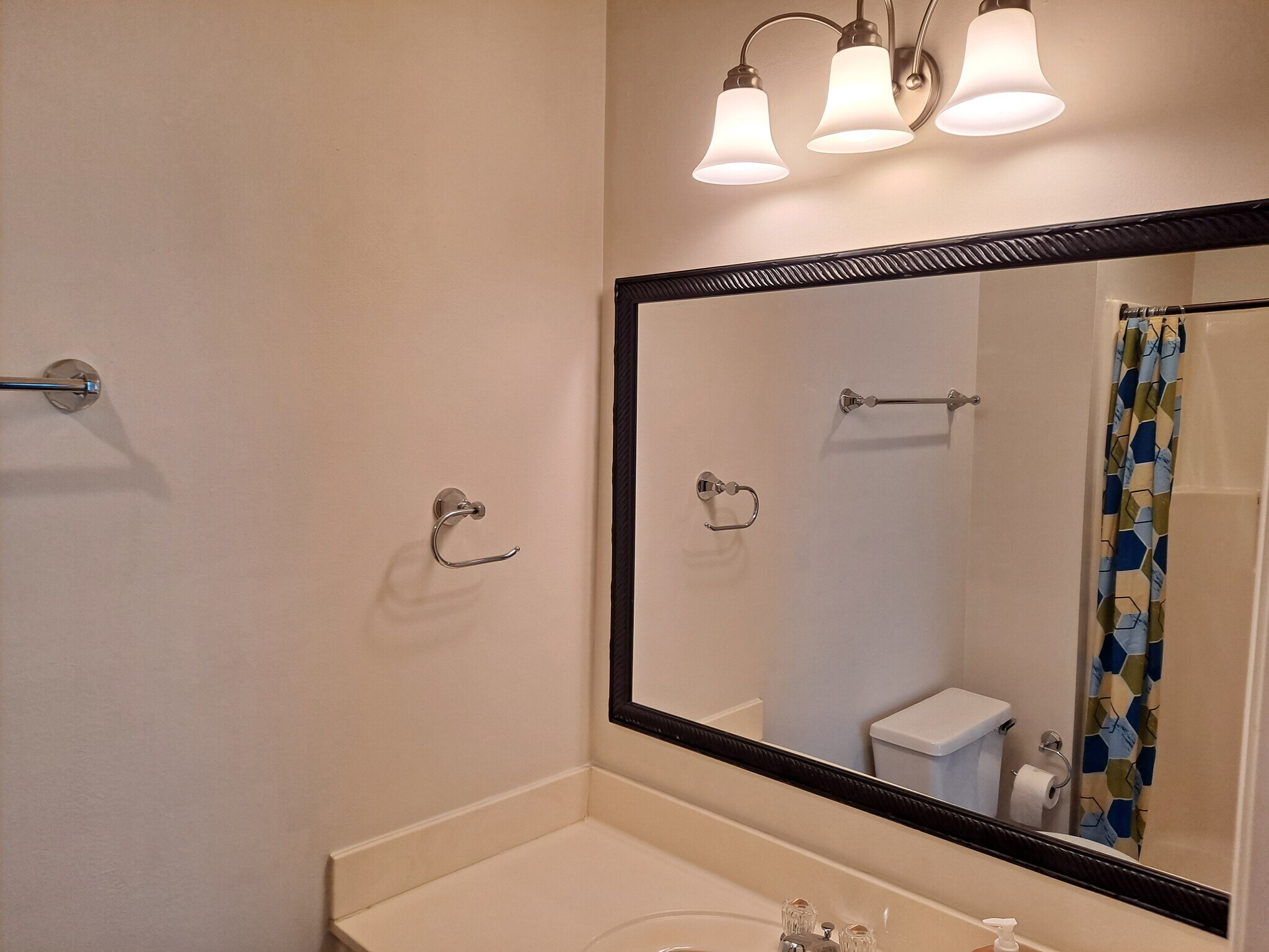 master bath - 1613 Cedar Tree Ln