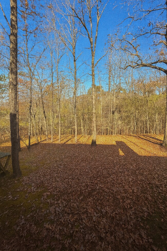 Building Photo - 736 River N Blvd