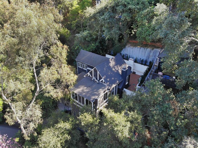 Building Photo - Stunning Tranquil Home in Laurel Canyon wi...