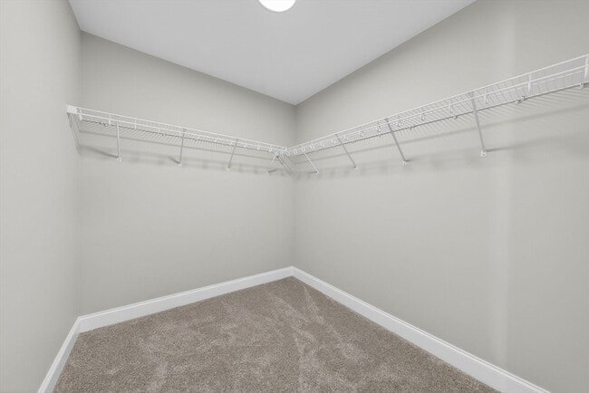 Building Photo - 3 Earle St