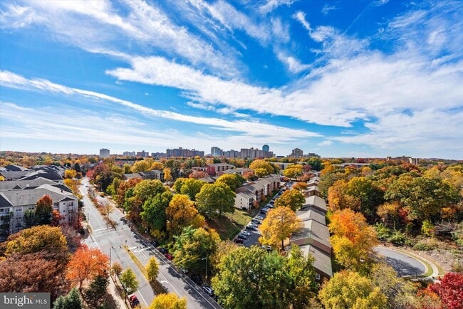 Building Photo - 3101 N Hampton Dr