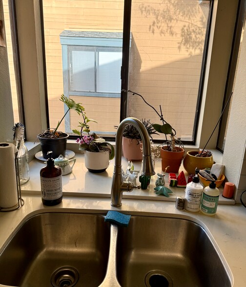 Kitchen sink holds orchids - 802 Kalpati Cir