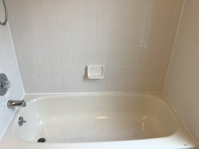 Guest Bath - 1127 Shaffer Trl
