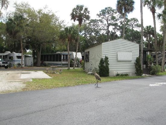 Primary Photo - Space Coast RV Resort
