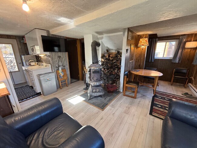 Building Photo - 20 Minutes to Breckenridge! Walk to everything Alma! Wood burning fireplace and fully furnished!