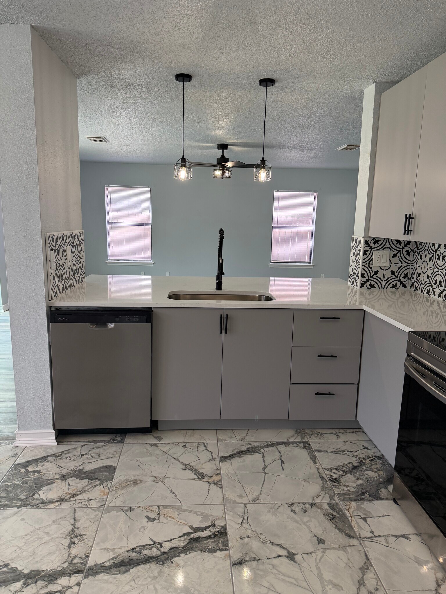 Kitchen sink & cabinets - 9647 Orchid Mdws