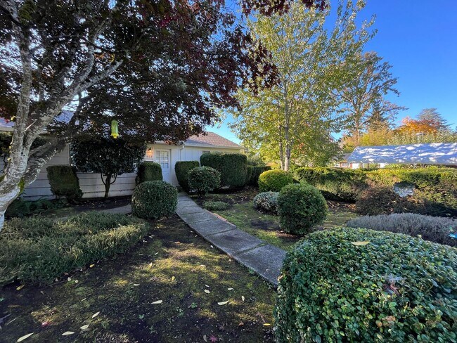 Primary Photo - Lovely 2 Bed + 1 Bath Unit in Forest Grove...