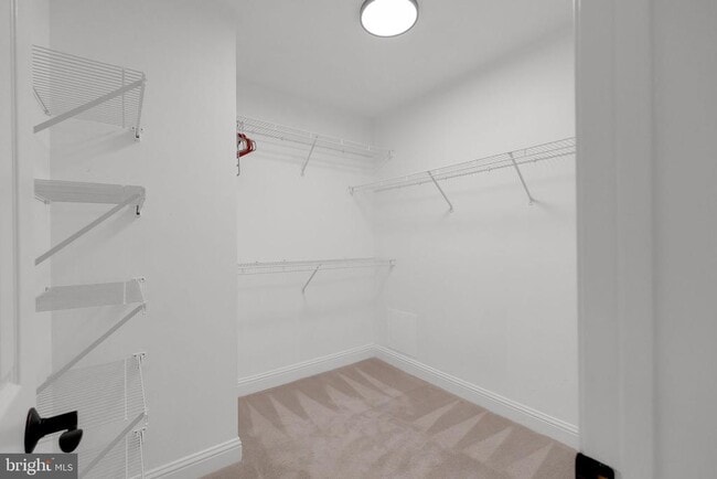 Building Photo - 1038 Grand Oak Way