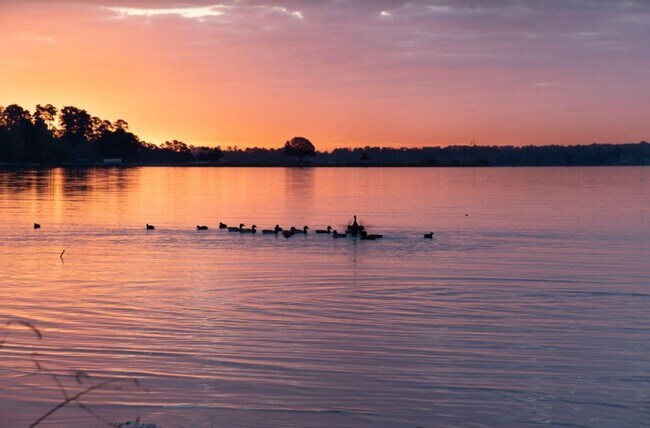 Building Photo - 12900 Walden Rd