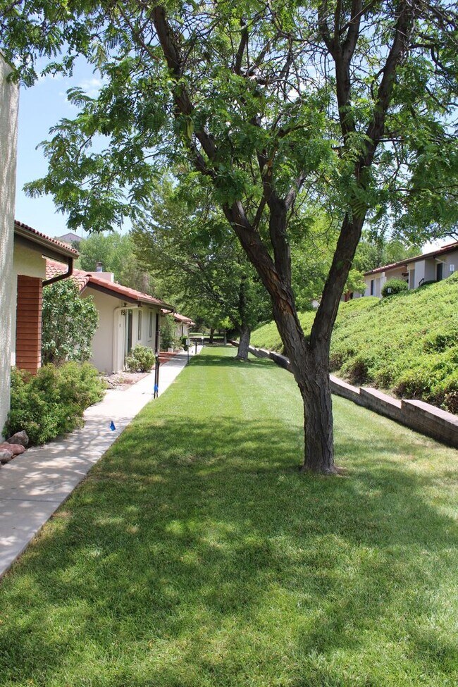 Building Photo - 439 Foxfire Ln