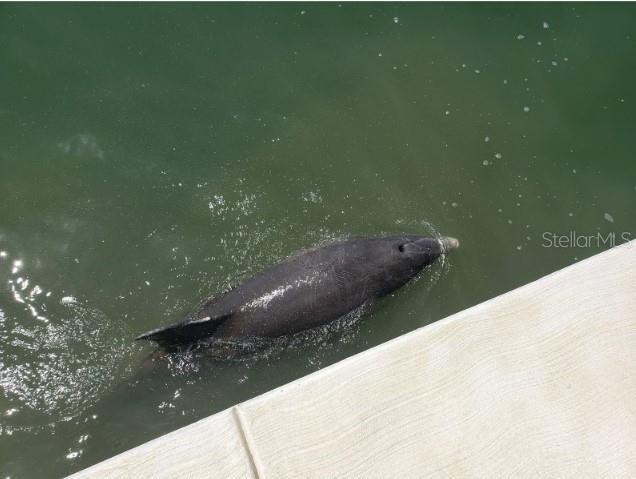 Building Photo - 5200 Brittany Dr S