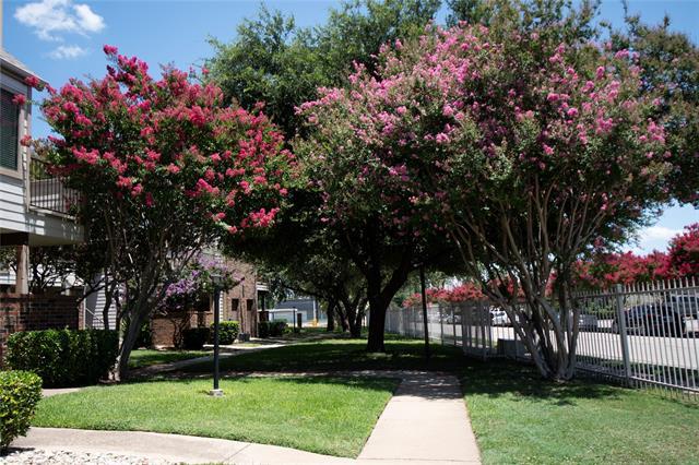 Building Photo - 3121 Sondra Dr