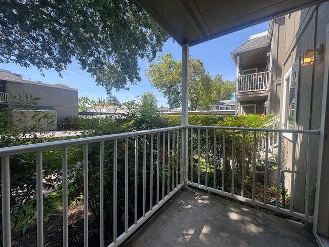 Building Photo - Gorgeous and Completely Remodeled Lower Level Unit with Inside Laundry is Available Now!