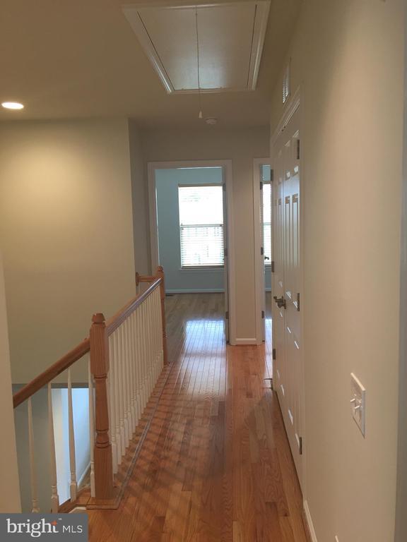 Building Photo - 3061 Waterloo Ln