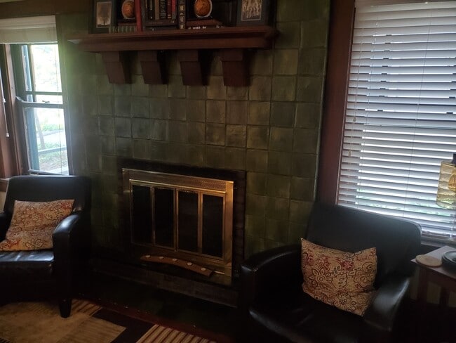 Fireplace in Living Room - 263 Senator Pl