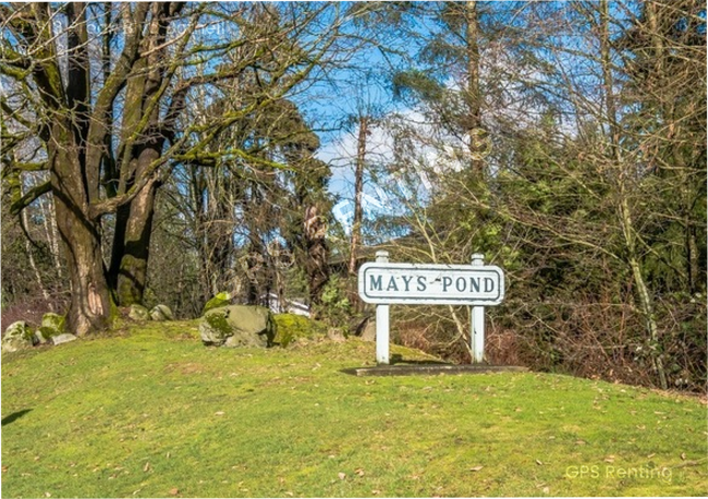 Building Photo - 17813 Brook Blvd