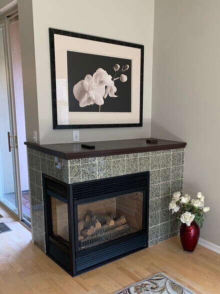 4th floor gas fireplace - 645 N 1st St