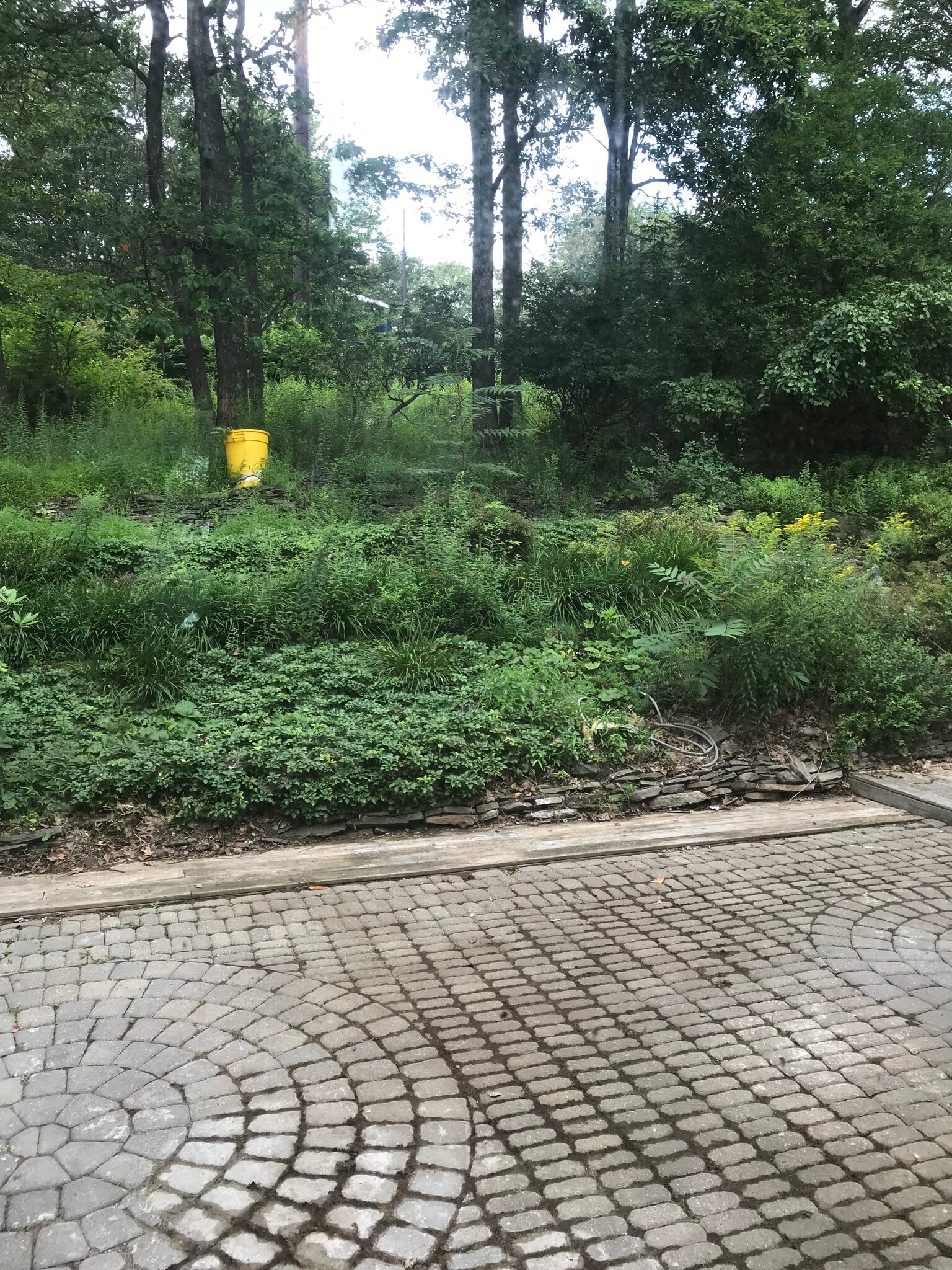 Building Photo - 10 Candlewood Ln