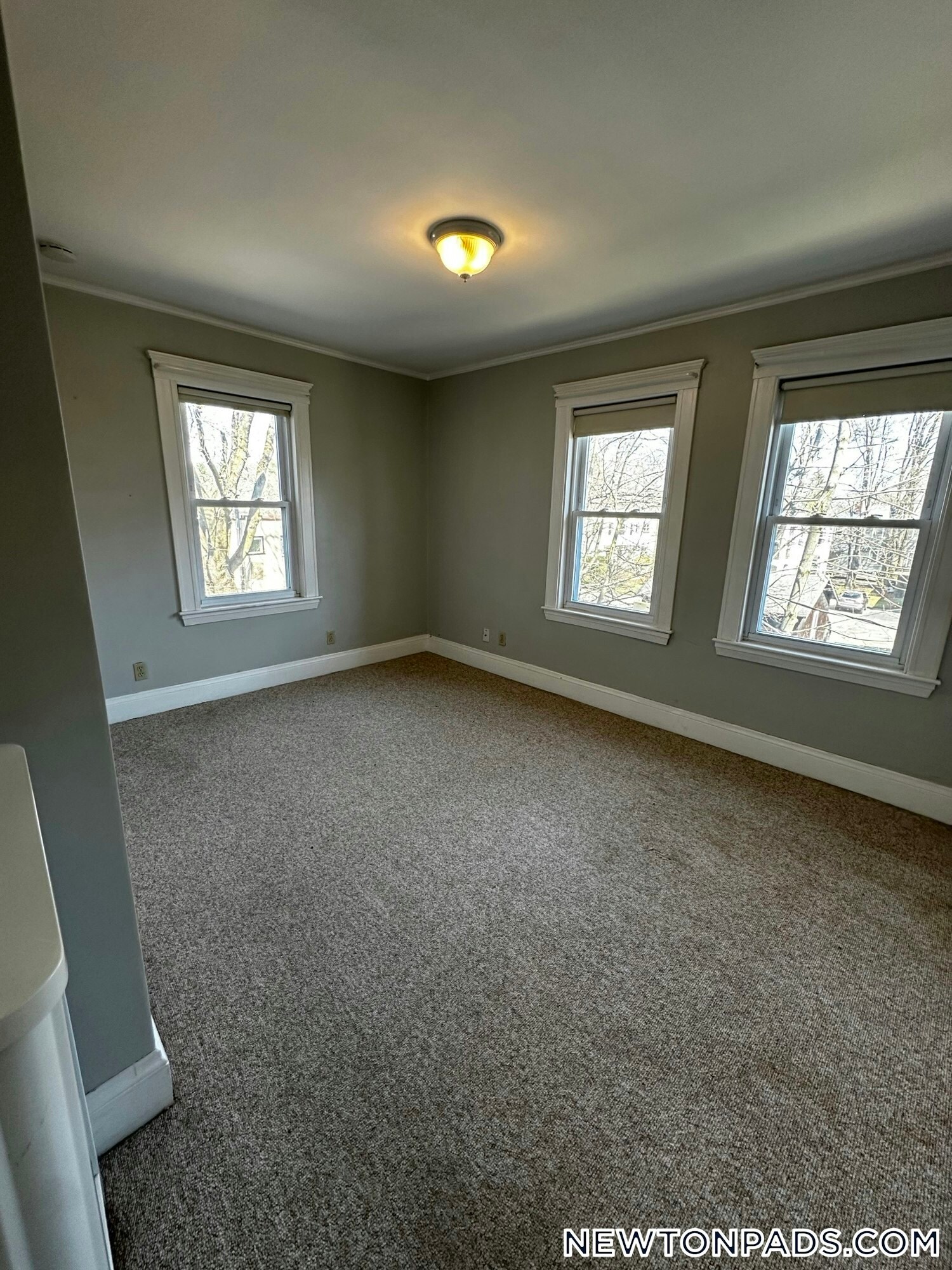 Building Photo - 173 Warren St