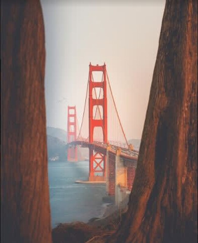 Building Photo - 145-147-147 Stanyan St