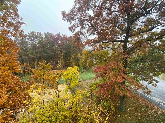 Building Photo - 119 Eastern Ave