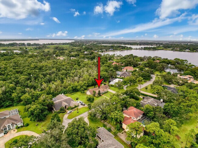 Building Photo - "Spacious 4-Bedroom Oasis in Tarpon Springs – 3,259 Sq Ft of Comfort and Style!"