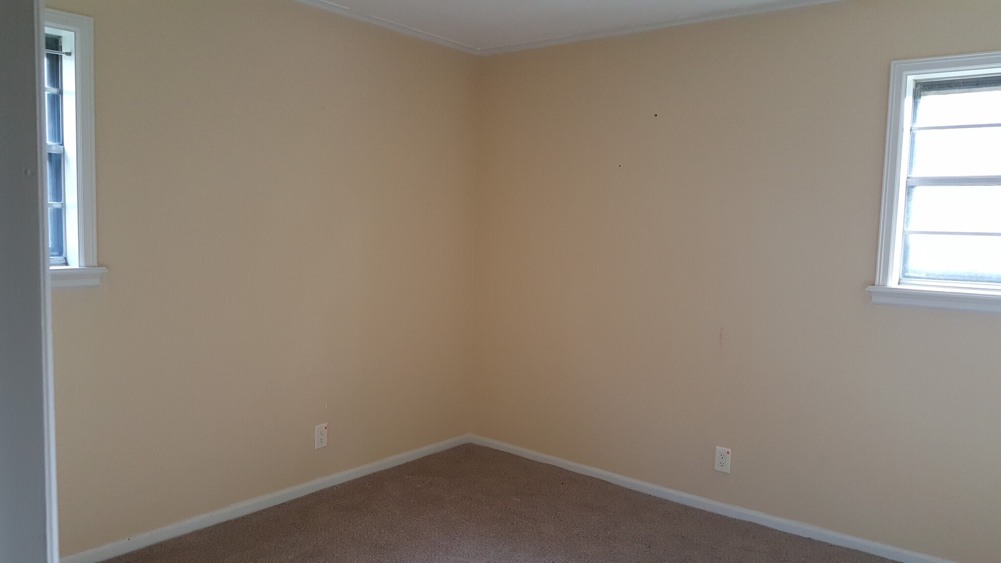 Building Photo - 933 Macklyn Ln