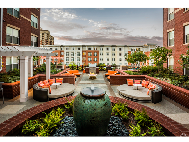 Outdoor Social Area - The Point at Dunn Loring