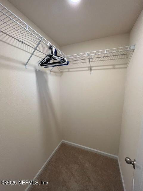 Building Photo - 726 Servia Dr