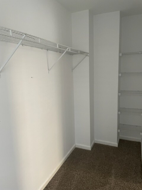 Building Photo - 411 Clare Ln