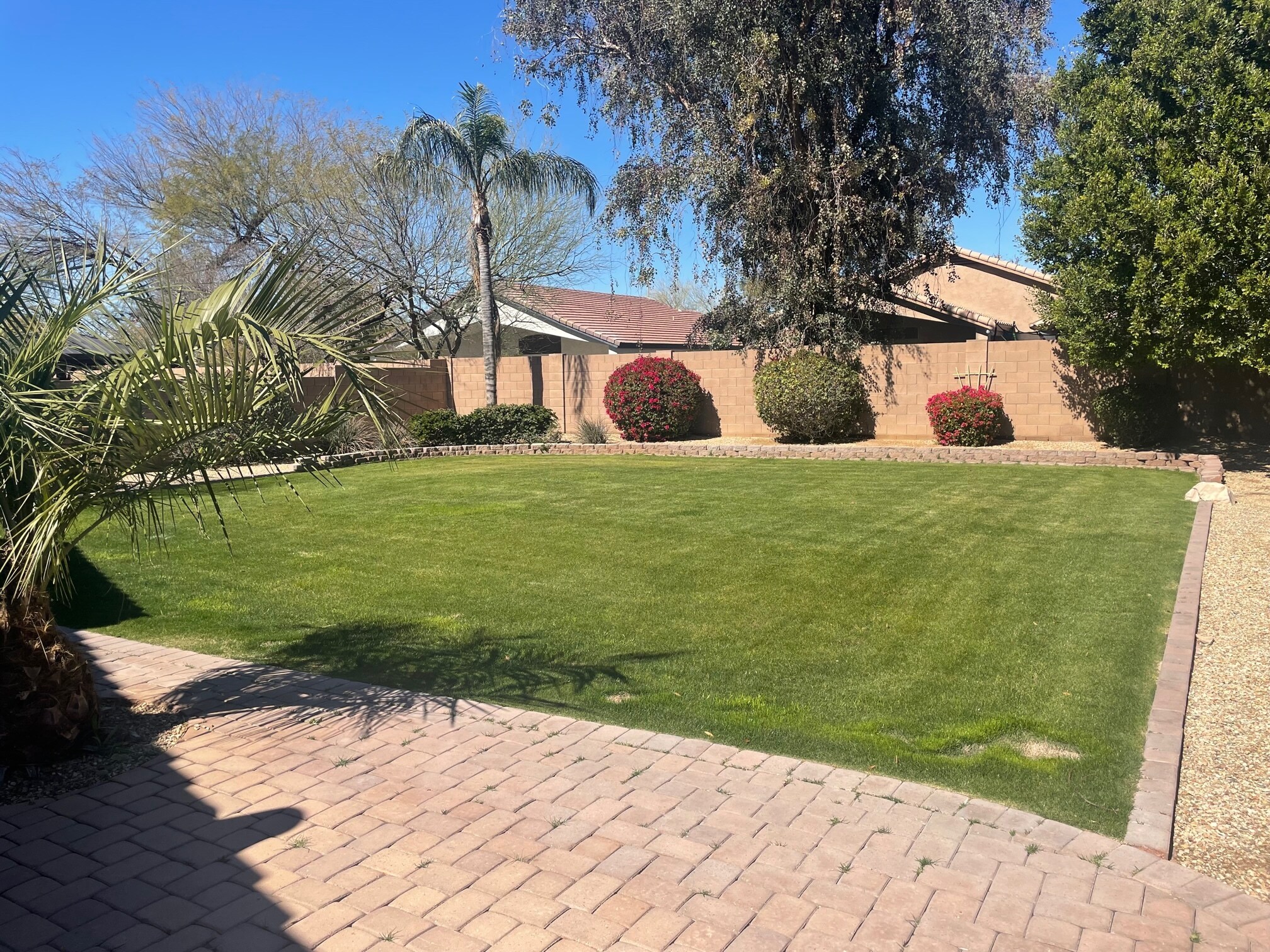Huge Yard - 244 W Goldfinch Way
