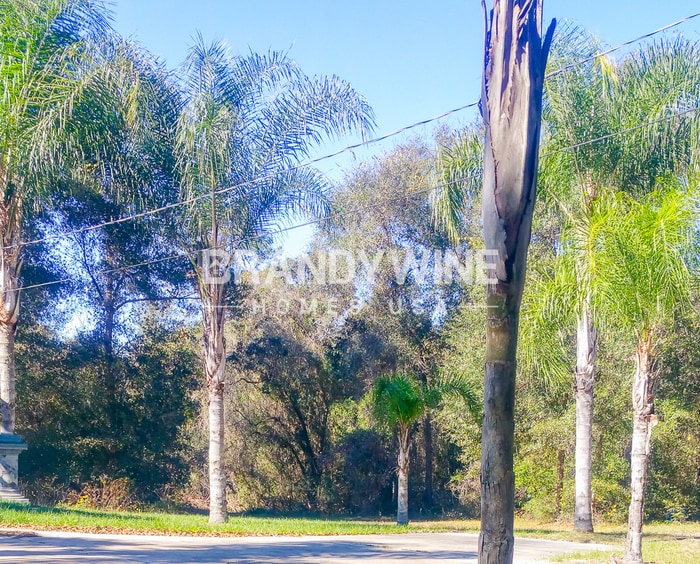 Building Photo - 5222 Aragon Ave