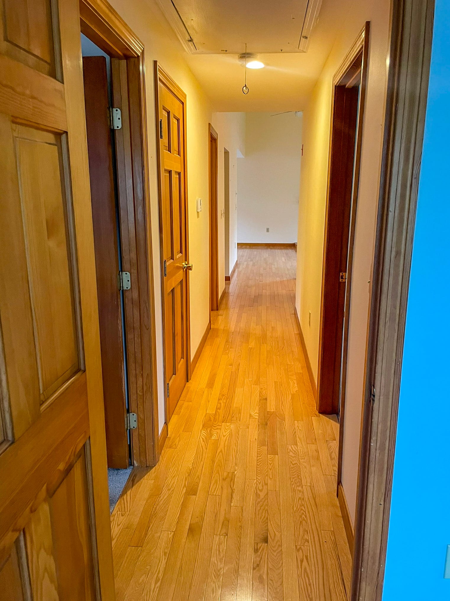 Hallway - 20 Isaac Lucas Cir