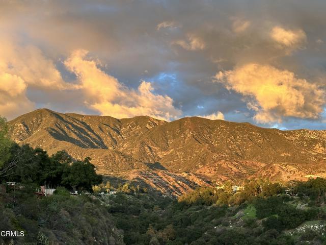 Building Photo - 1086 Hollygrove Ln